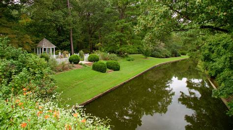 Norfolk botanical garden - Norfolk Botanical Garden. 6700 Azalea Garden Road, Norfolk, VA 23518-5337. 757-441-5830. 